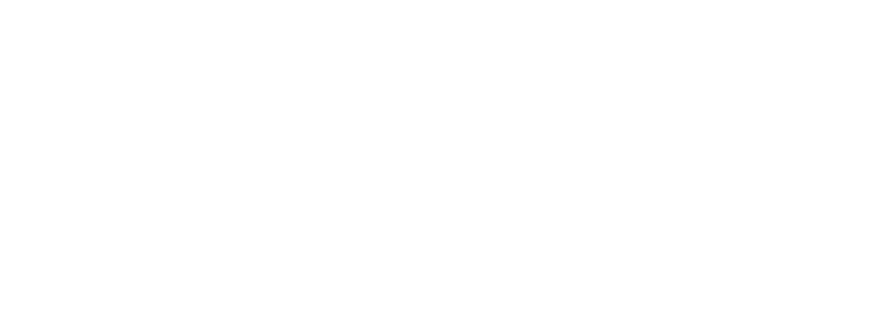 North Central College